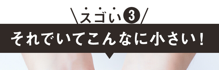それでいてこんなに小さい！
