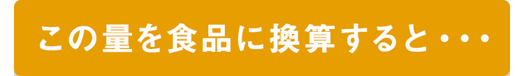 この量を食品に換算すると・・・