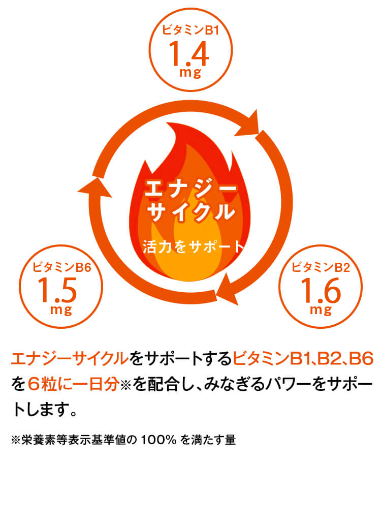 エナジーサイクルをサポートするビタミンB1、B2、B6を6粒に一日分※を配合し、みなぎるパワーをサポートします。