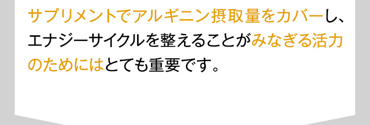 サプリメントでアルギニン摂取量をカバーし、エナジーサイクルを整えることがみなぎる活力のためにはとても重要です。