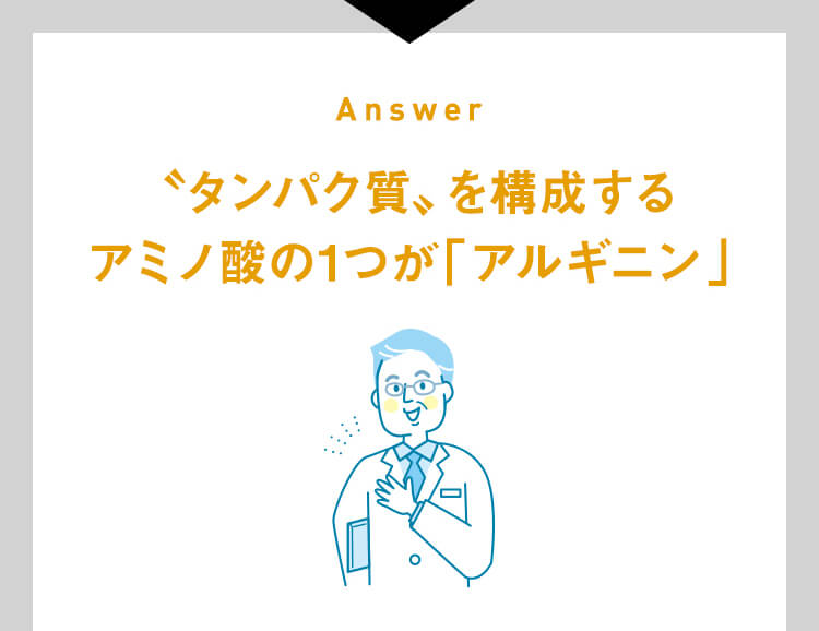 タンパク質〟を構成する アミノ酸の1つが「アルギニン」