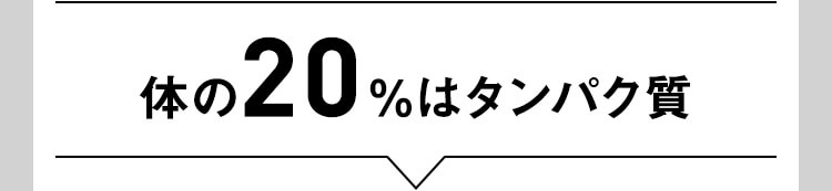体の20%はタンパク質