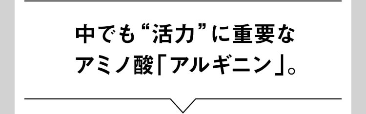 中でも活力に重要なアミノ酸「アルギニン」