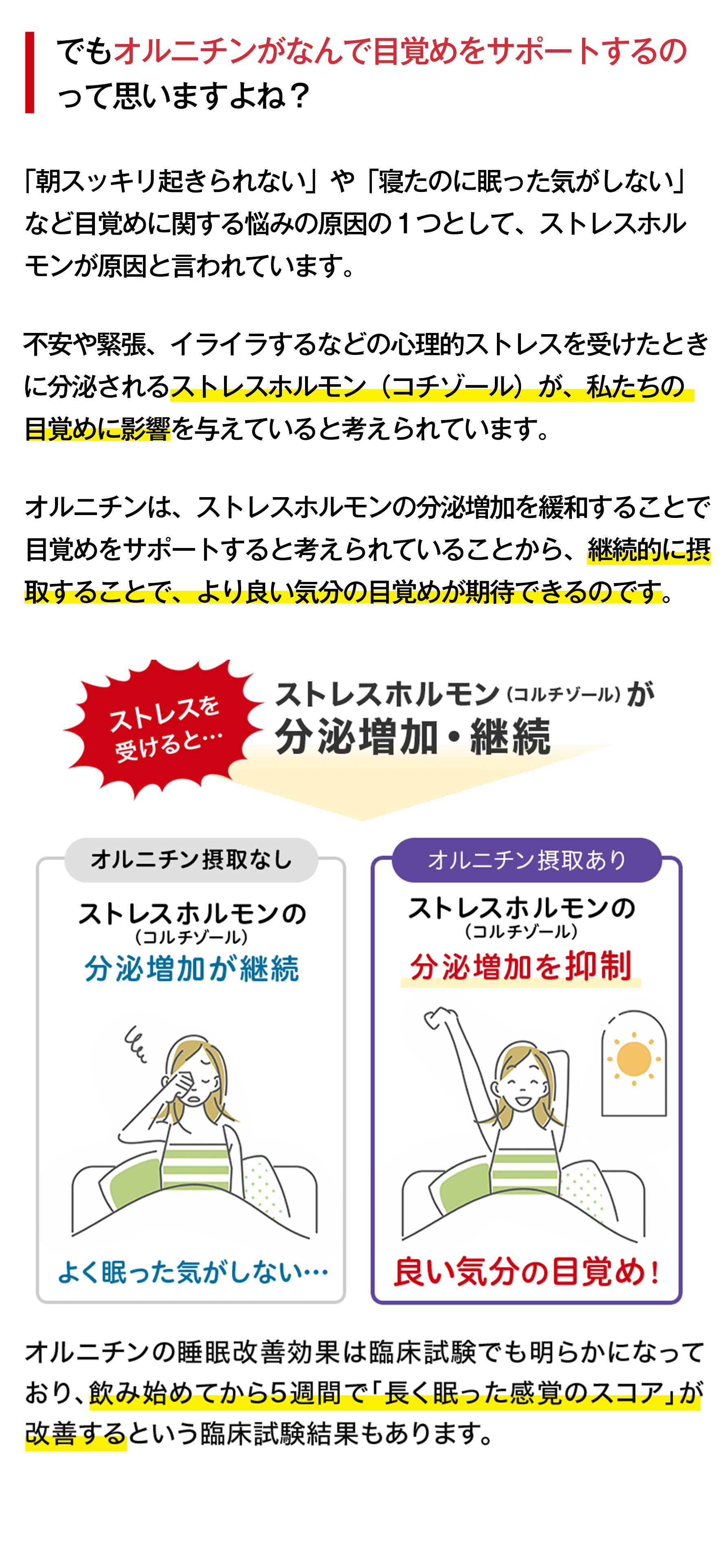 でもオルニチンって睡眠の悩みをどう解決してくれるのって思いますよね?