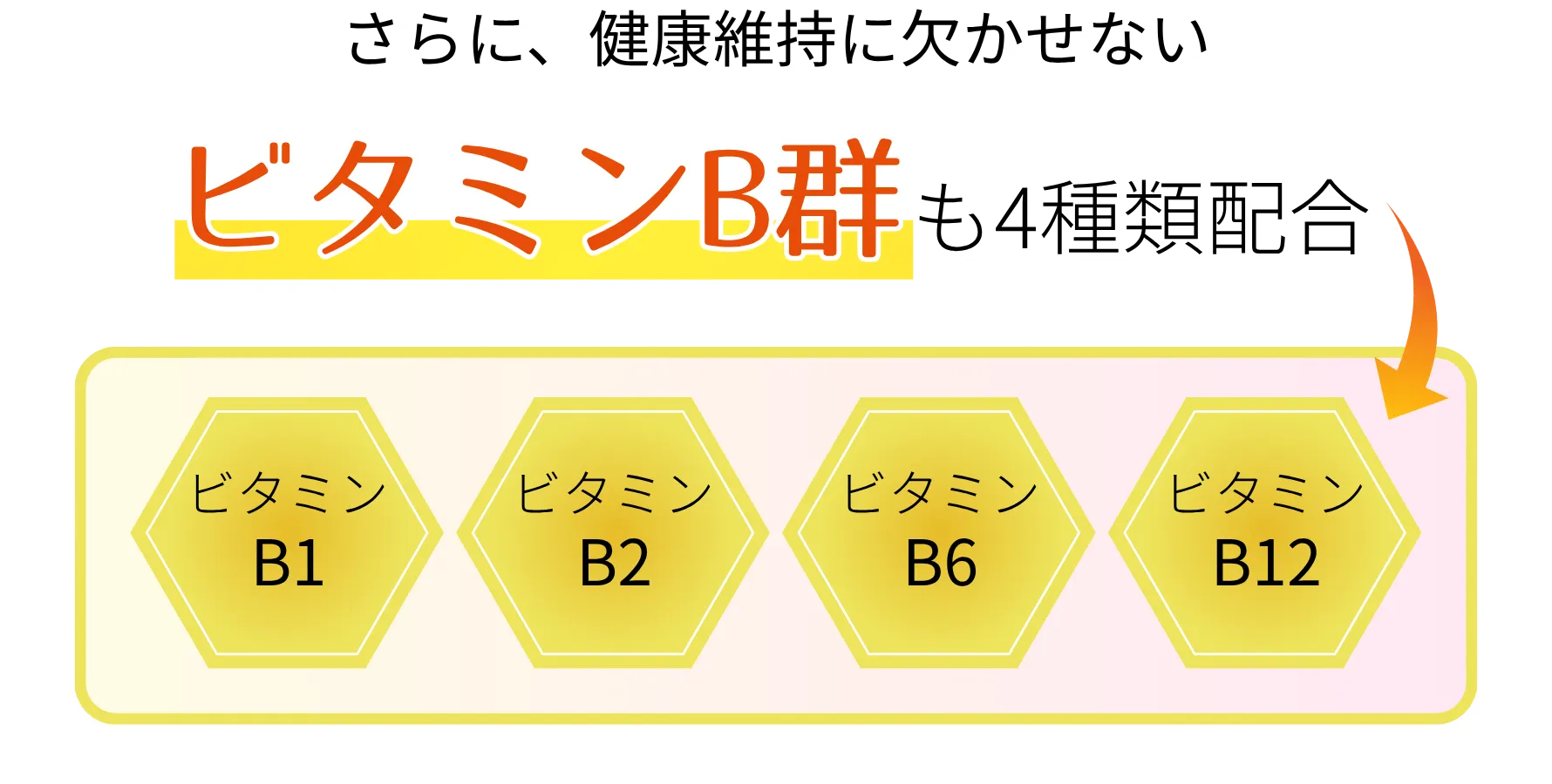 さらに、健康維持に欠かせないビタミンB群も4種類配合