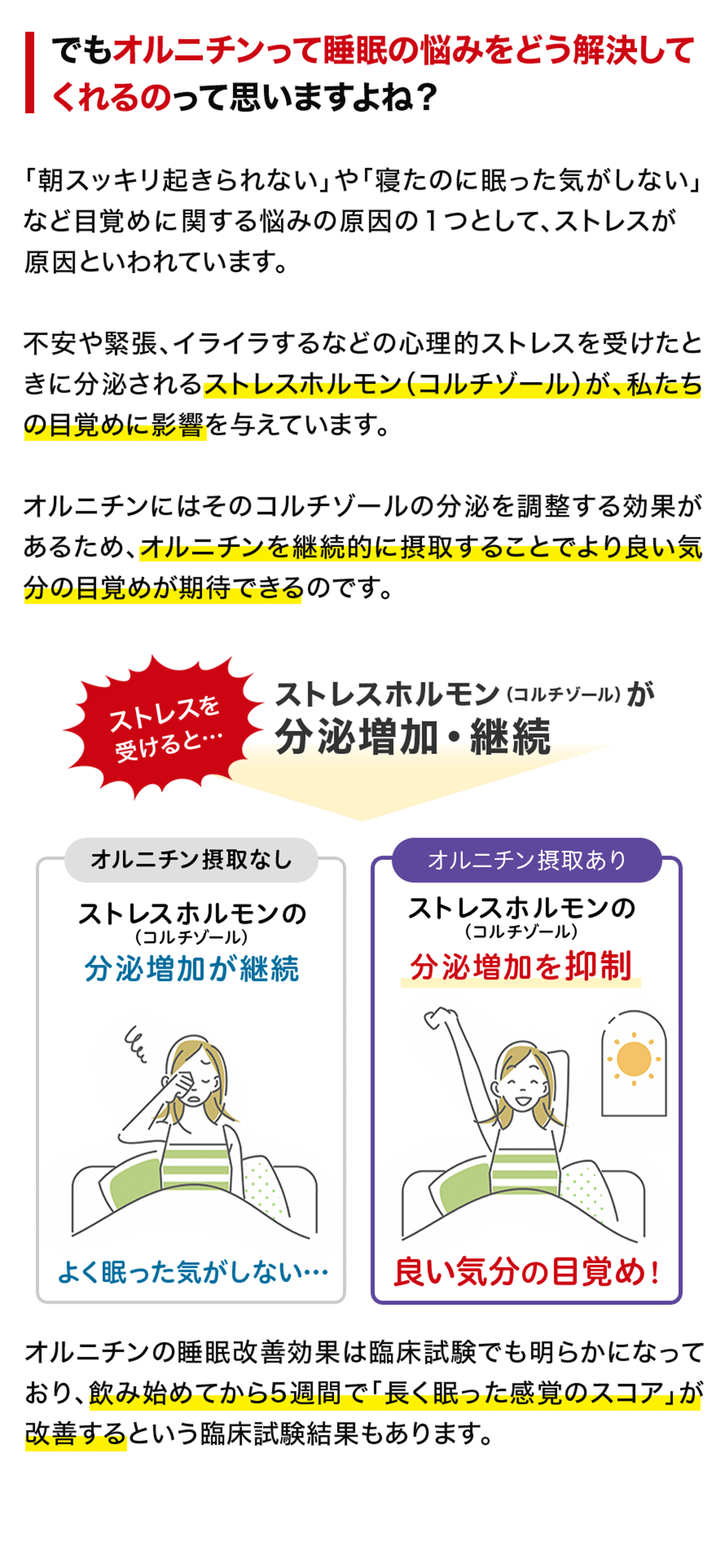 でもオルニチンって睡眠の悩みをどう解決してくれるのって思いますよね?