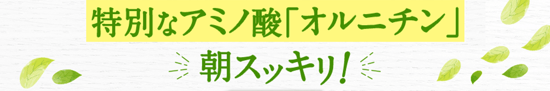 特別なアミノ酸「オルニチン」朝スッキリ!