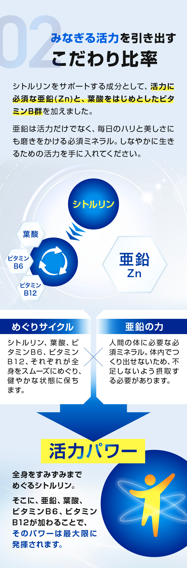 みなぎる活力を引き出すこだわり比率