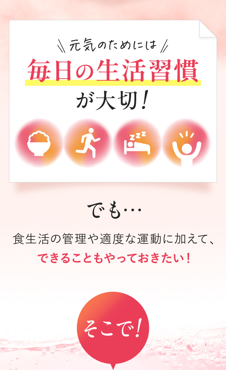 元気のためには毎日の生活習慣が大切！