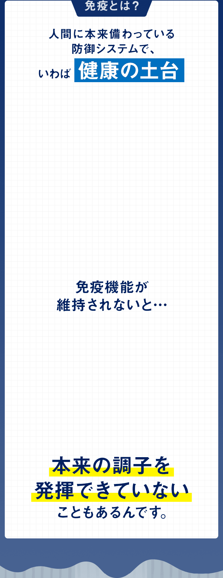 免疫とは人間に本来備わっている防御システムで、いわば健康の司令塔。免疫機能が維持されないと、本来の調子を発揮できないこともあるんです。