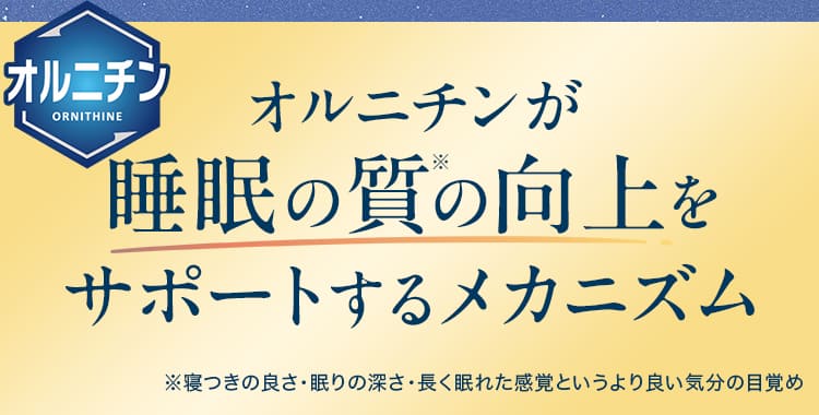 オルニチンが睡眠の質の向上をサポートするメカニズム