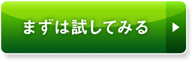 まずは試してみる