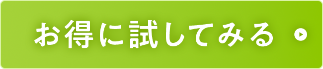 お得に試してみる
