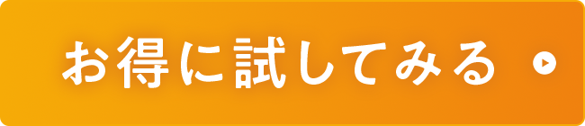 お得に試してみる