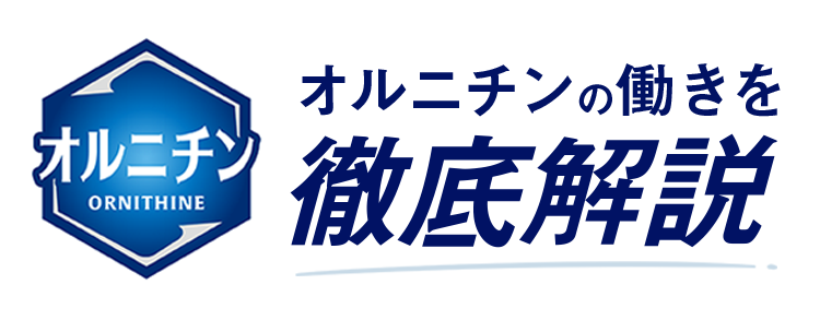 オルニチンの働きを徹底解説
